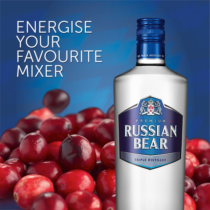russian bear drinking vodka